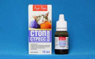 Лечение кошачьего стресса эффективным препаратом